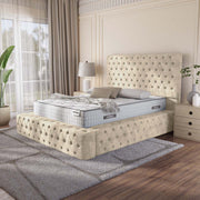 Ambassador Upholstered Ottoman Bed