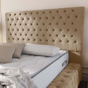 Ambassador Upholstered Ottoman Bed