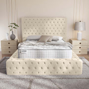 Ambassador Upholstered Bed