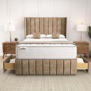 Cidra Wingback Divan Bed