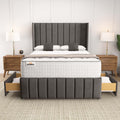 Cidra Wingback Divan Bed