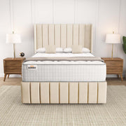 Cidra Wingback Ottoman Divan Bed