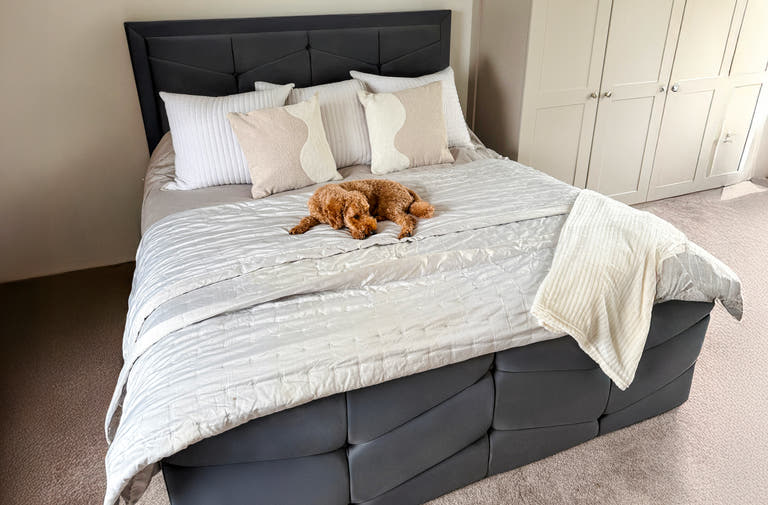 Happiness Guaranteed or Money Back