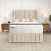 Cidra Wingback Ottoman Divan Bed