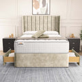 Prague Wingback Divan Bed