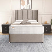 Prague Wingback Divan Bed